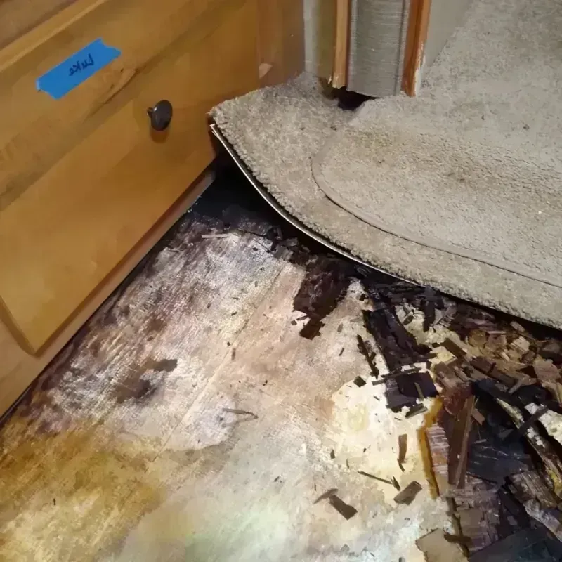 Best Wood Floor Water Damage Service in Salisbury, NY